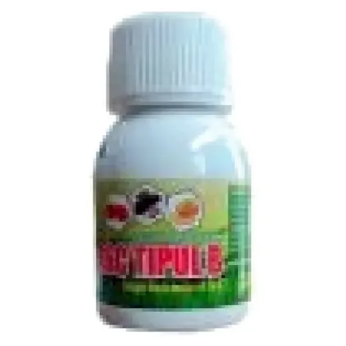 36 C Tipo B 10 ml
