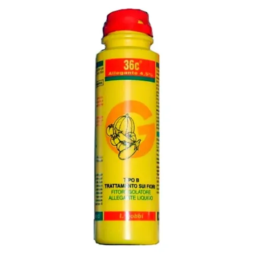36 C Tipo B 100 ml