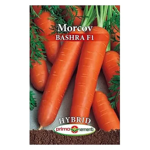 AGR Morcovi Bashra F1 6 Gr