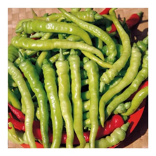 Ardei ciorbagiu 50 gr