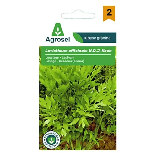 AS PG2 Leustean 0,36 gr