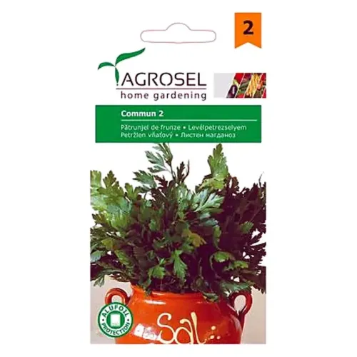 AS PG2 Seminte Patrunjel de frunza Commun 2/Plain Leaved 2 - 3,5 g