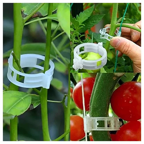 Clipsuri palisare tomate 100 buc
