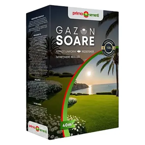 Gazon Soare 1 kg