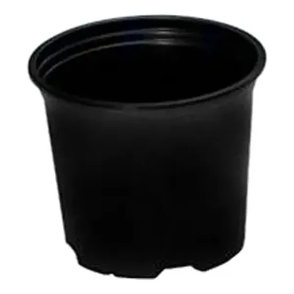 Ghivece Productie 7 X 7 X 6.5 Gri 190 Cc
