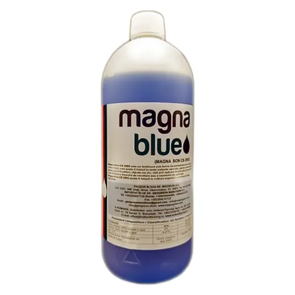 Magna Blue 1 l