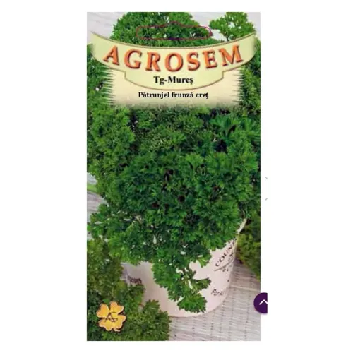 Patrunjel frunza creata 4 gr - Agrosem
