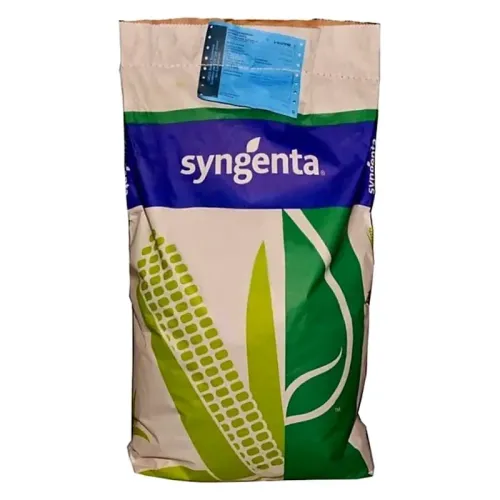 Porumb Chorintos FAO 300-340 Syngenta 50.000 boabe