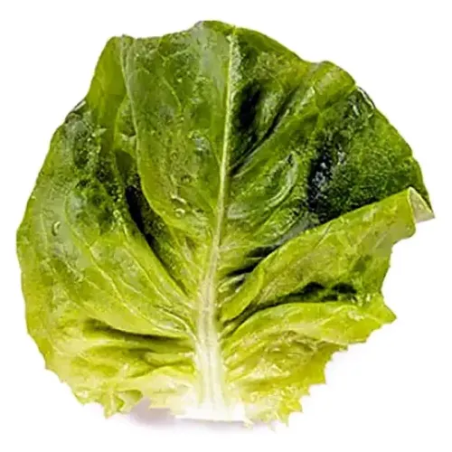 Salata Danubia 1000 Sem