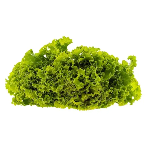 Salata Lollo Bionda 10 g